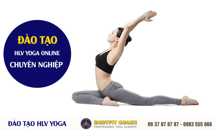 Đào tạo HLV Yoga Online tại Nhà